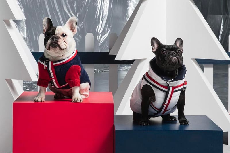 Moncler x Poldo Dog Couture 為犬隻寵物推出奢華時尚羽絨外套
