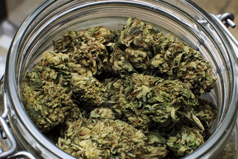 新年大禮！泰國成為東南亞第一個「大麻合法化」的國家