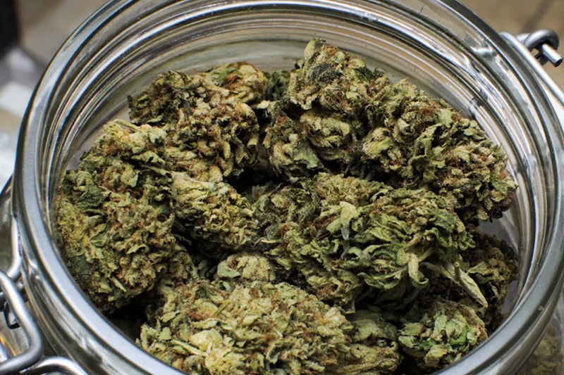 新年大禮!泰國成為東南亞第一個「大麻合法化」的國家