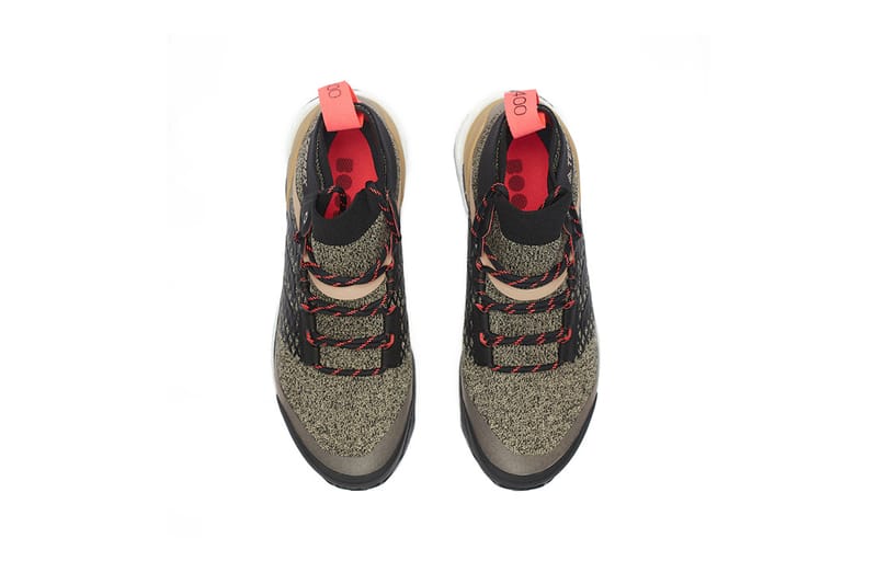 terrex hiker
