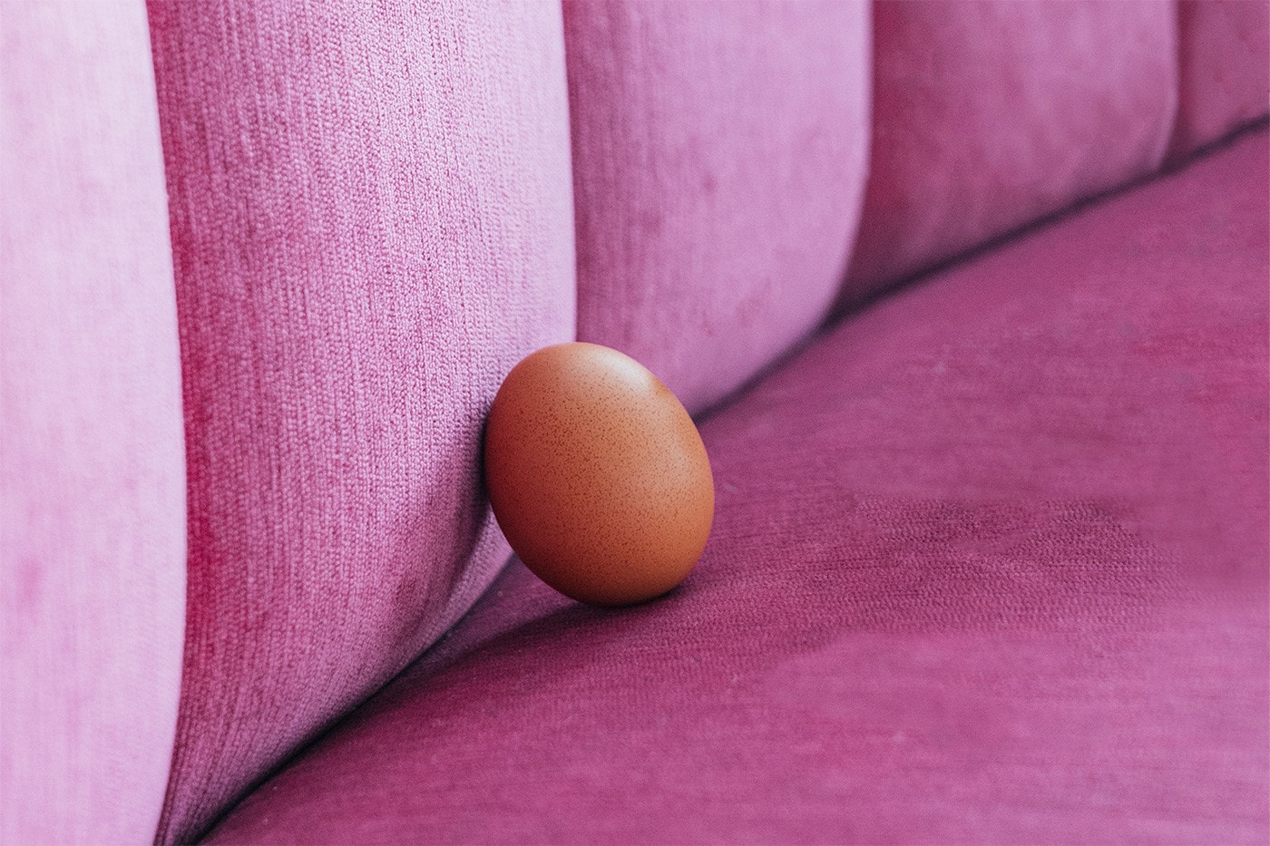 Instagram 史上最多 Like 雞蛋首獲品牌贊助