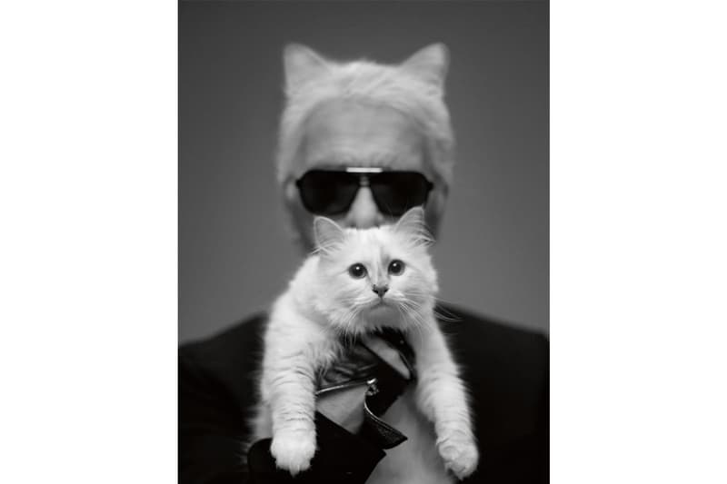 老佛爺 Karl Lagerfeld 價值 £1,5 億英鎊遺產將由愛貓 Choupette 繼承!?