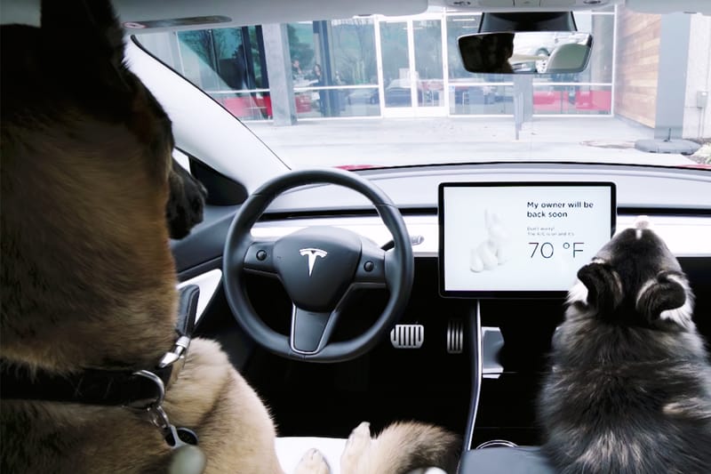 Tesla 發佈「狗狗模式」讓心愛寵物安全獨留車中