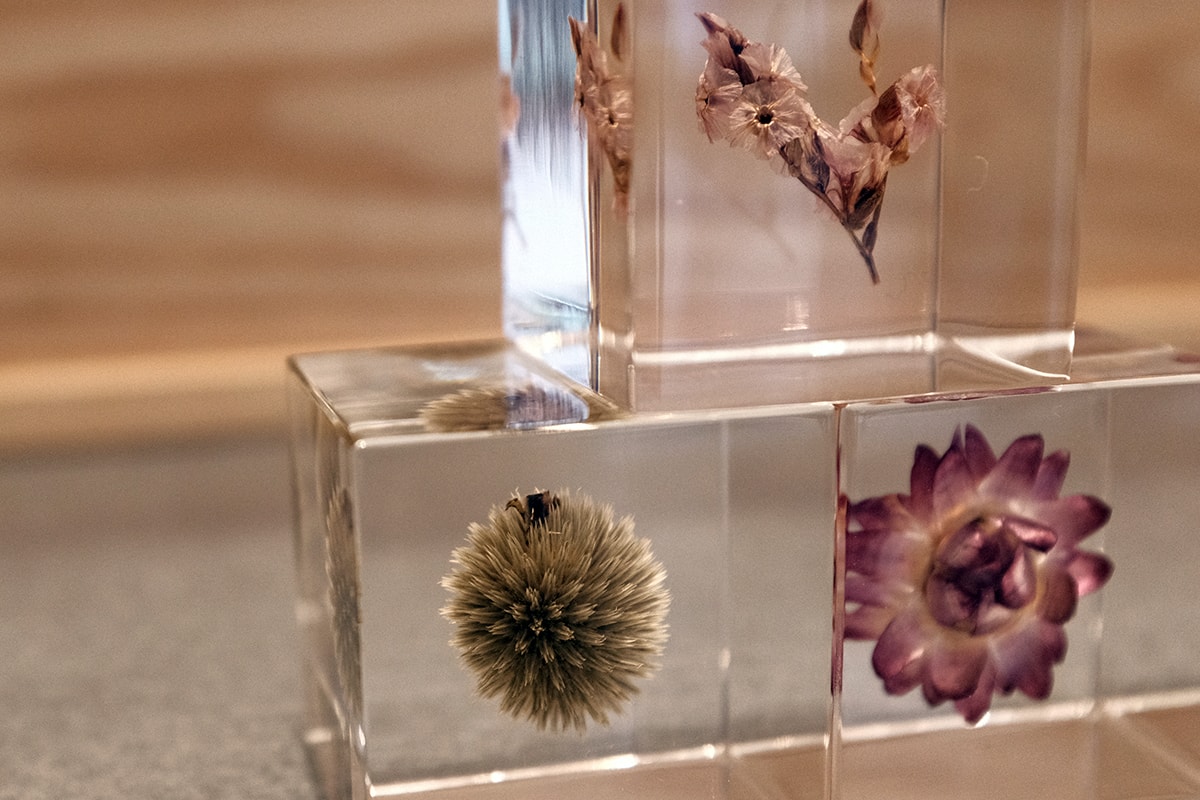 花卉魔方・Sola Cube 創造立體植物標本