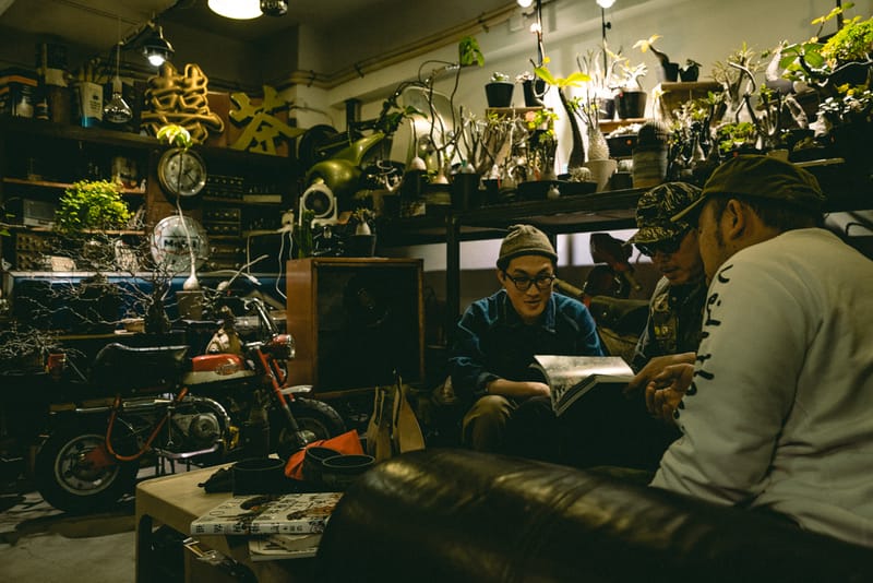 塊根植物入門！建構蝸居中之人氣塊根植物大觀園