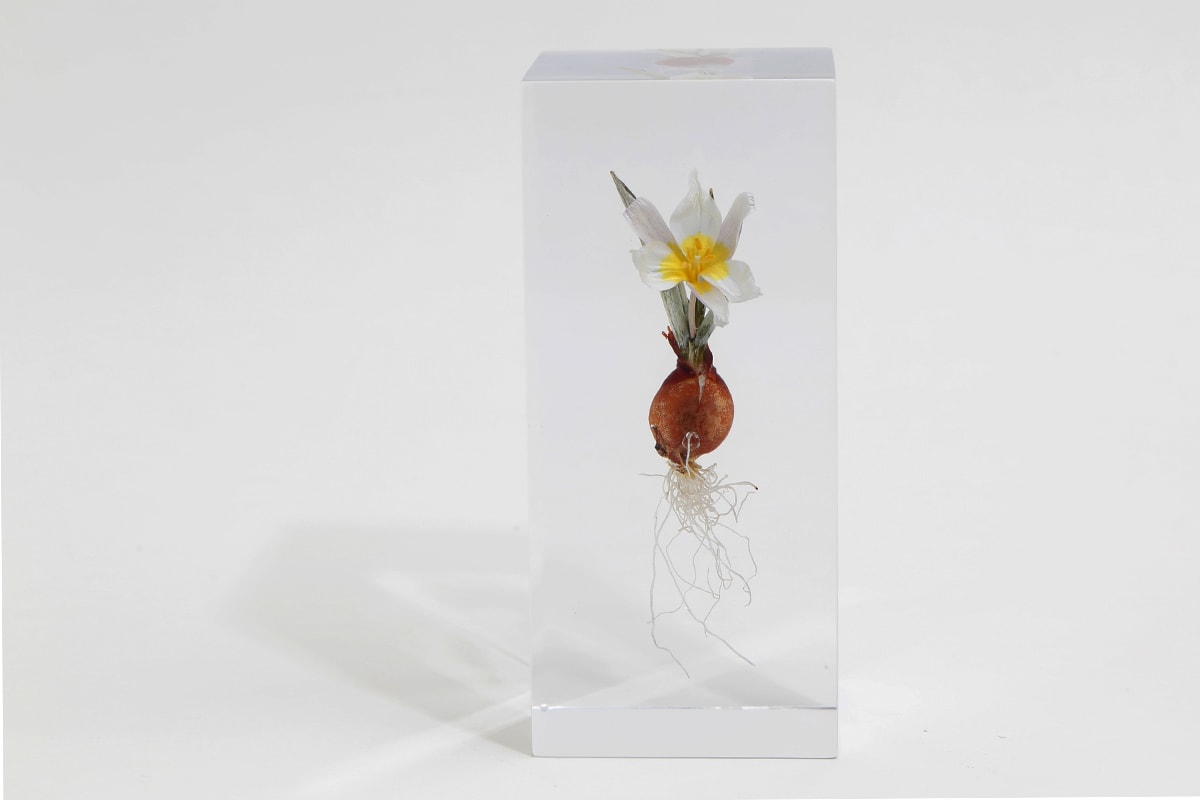日本花卉大師 Azuma Makoto 創作永不凋谢的藝術擺設「Block Flowers」