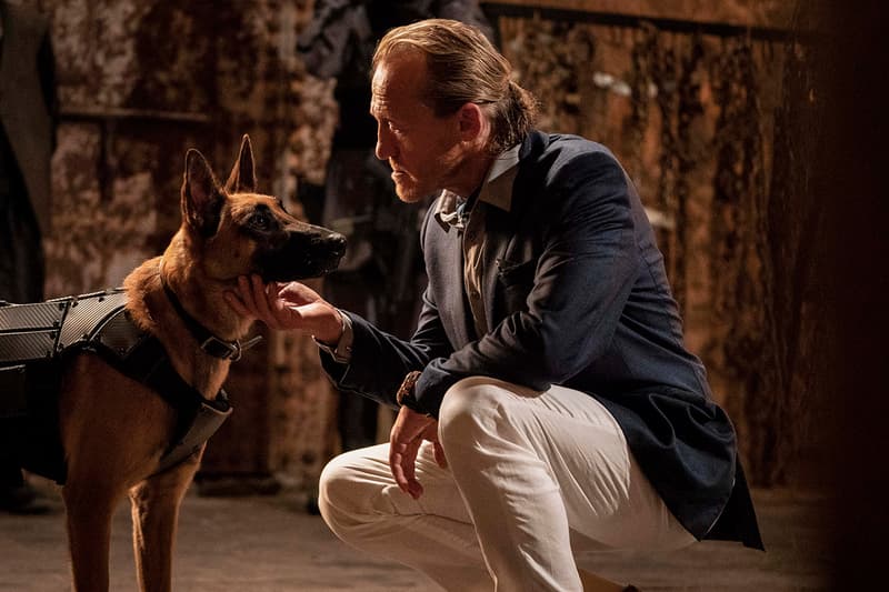 殺神護狗!《John Wick 3: Parabellum》最新電影劇照、片段釋出