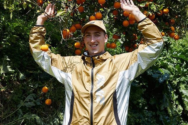 Palace 預告 2019 夏季系列即將發佈