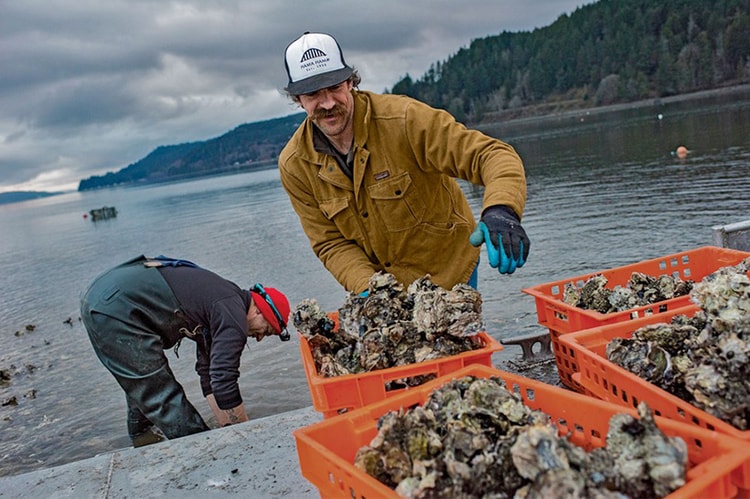 Patagonia 拒絕承接華爾街企業服裝訂單