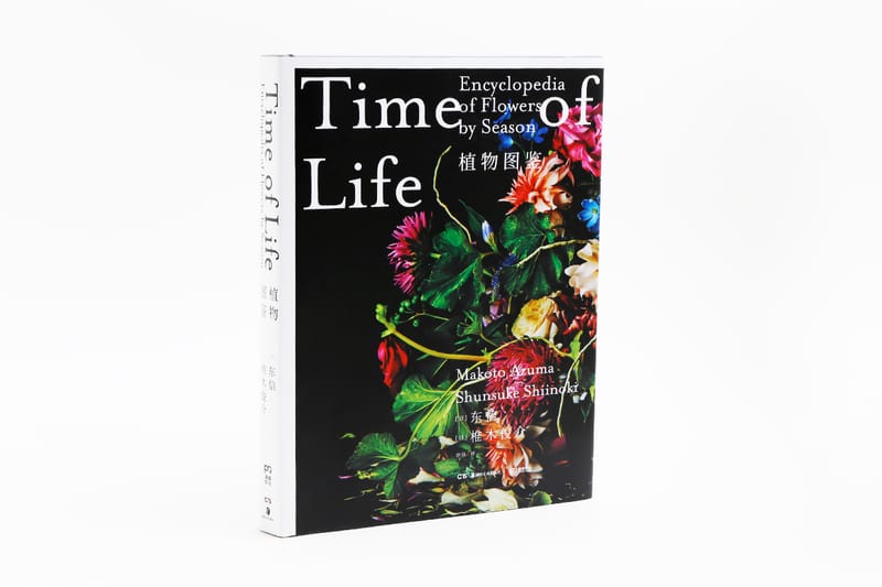 大自然的輪迴法則・日本花藝大師 Azuma Makoto 製作《TIME OF LIFE》植物圖鑑