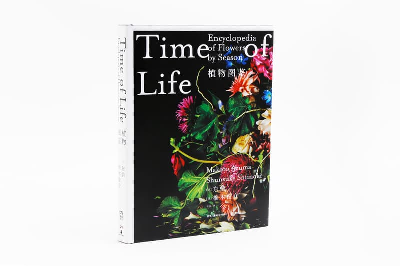 大自然的輪迴法則日本花藝大師 Azuma Makoto 製作《TIME OF LIFE》植物圖鑑