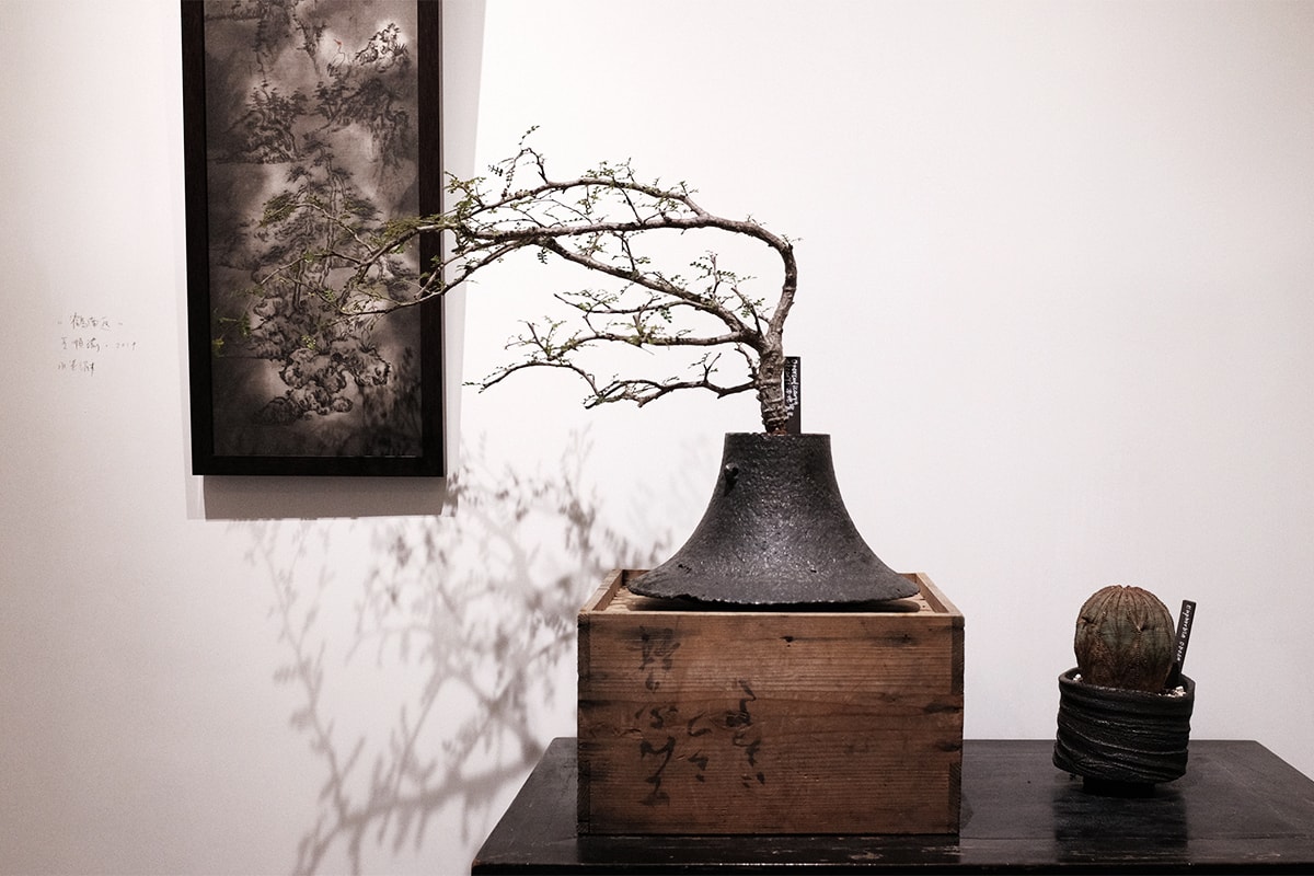 TOKI NASHIKI 舉辦「石居陋室 Living Stone」多肉植物盆器特展