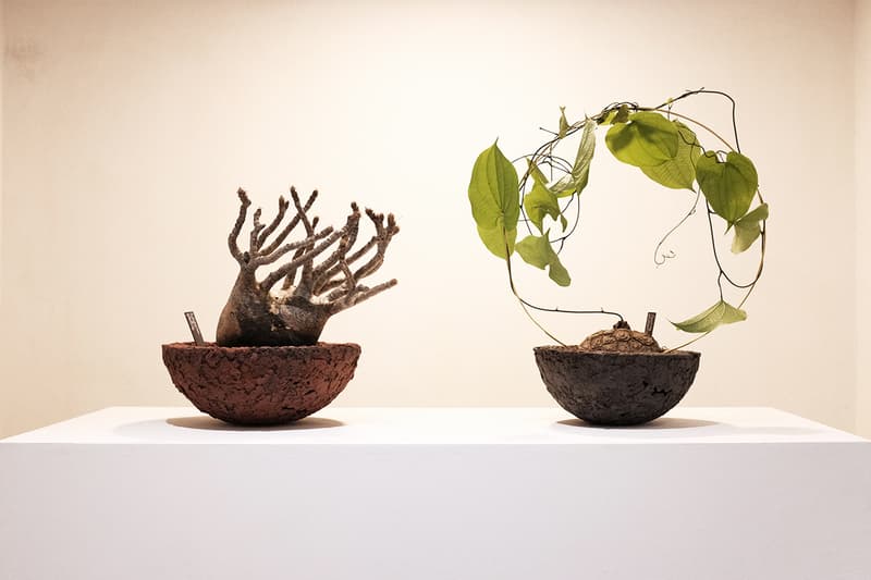 本地陶藝單位梨木製陶所 TOKI NASHIKI 舉辦「石居陋室 Living Stone」多肉植物盆器特展