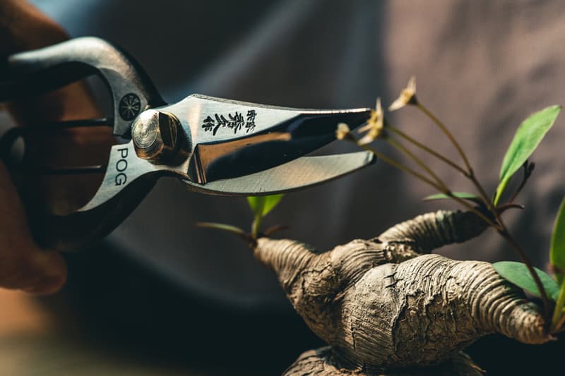 東洋百年傳統工藝鑄造・近賞 Plants of Gods x SYU 聯名限定園藝鋏