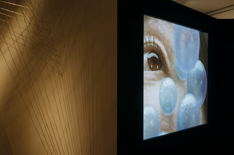 激活感官！Aēsop 裝置藝術展覽 Epistēmē 展覽正式開催