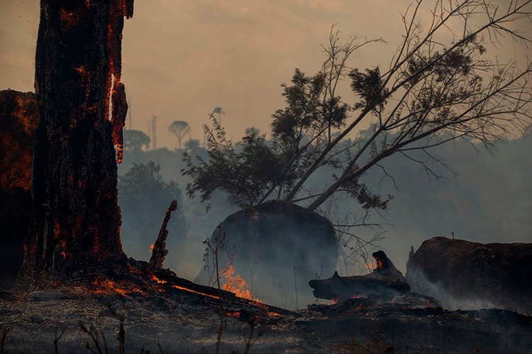 報導指出「製鞋業」或許是造成亞馬遜森林大火的主要來源之一