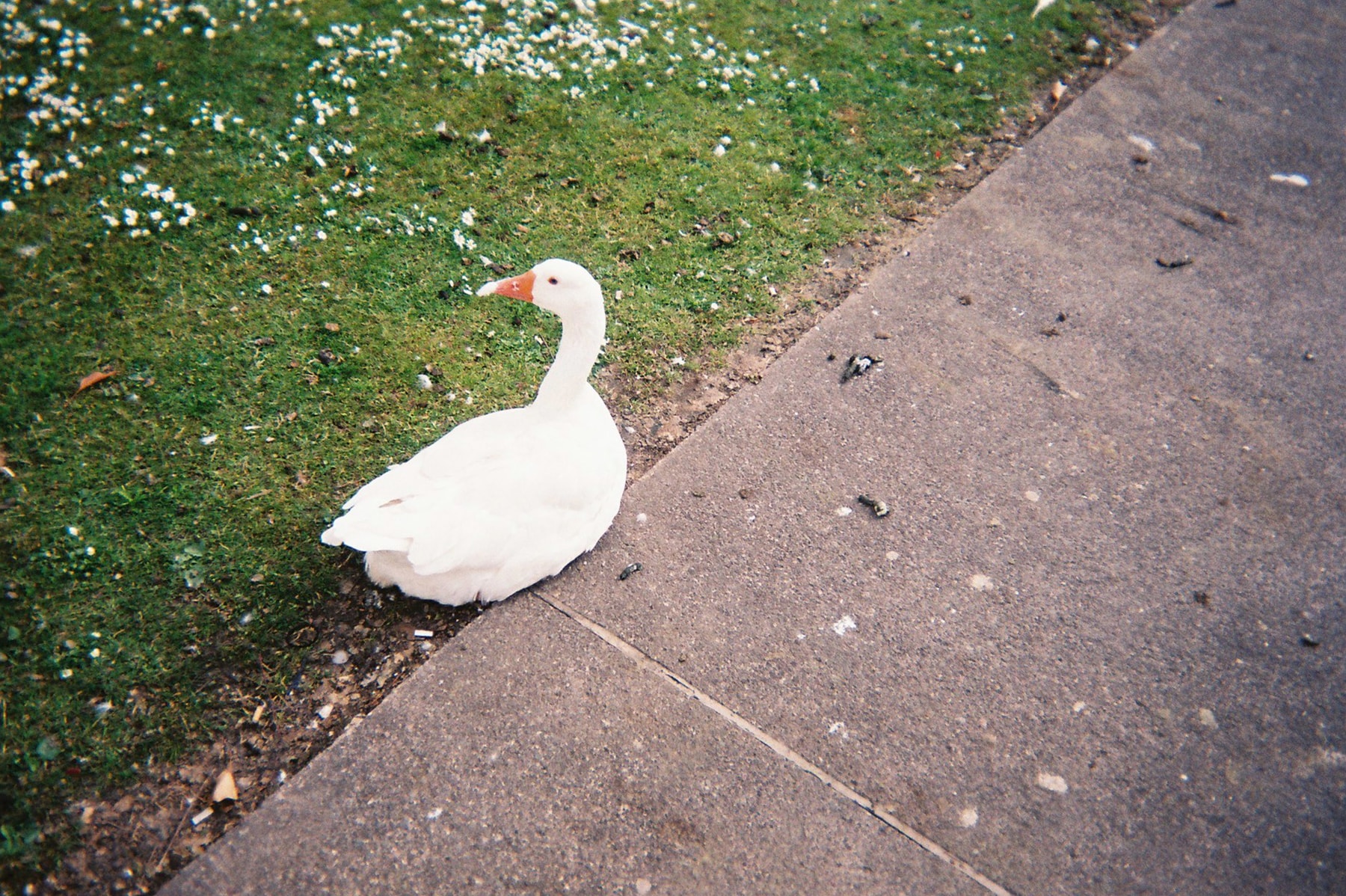 專訪落日飛車: 辦演唱會是希望大家來玩,是來開心的 |CityVibes