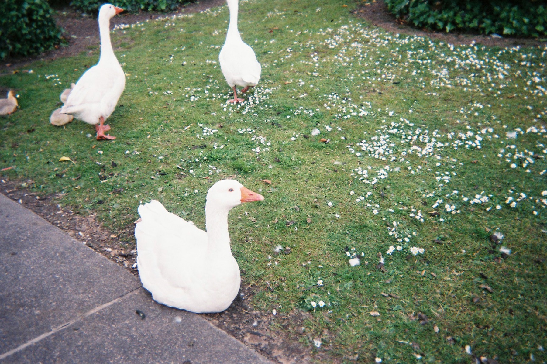 專訪落日飛車: 辦演唱會是希望大家來玩,是來開心的 |CityVibes