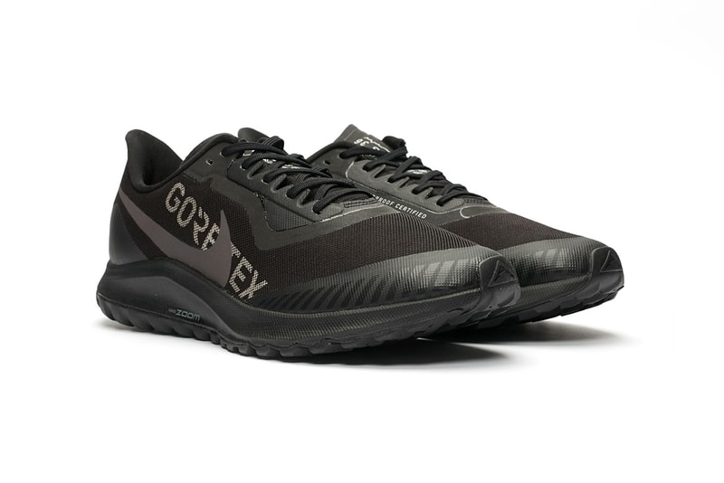 機能加持－Nike Zoom Pegasus 迎來 GORE-TEX 版本