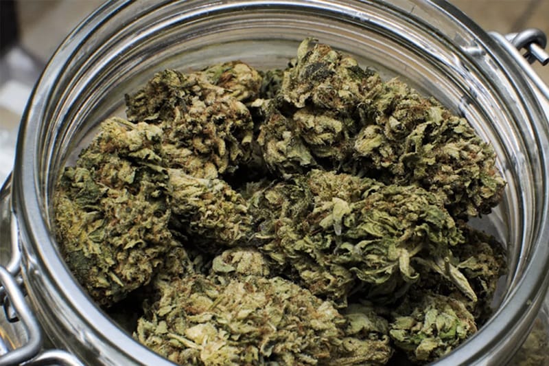 美國第一家大麻咖啡廳 Lowell Farms: A Cannabis Cafe 正式開業