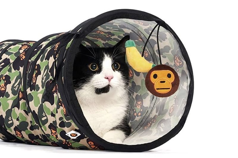 貓奴注意！A BATHING APE® 推出 2019 秋冬 Baby Milo 全新寵物配件系列