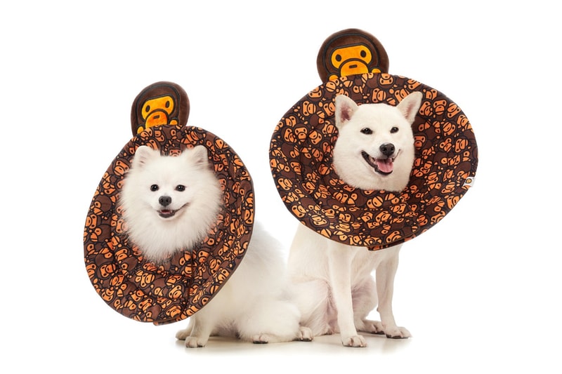 貓奴注意！A BATHING APE® 推出 2019 秋冬 Baby Milo 全新寵物配件系列