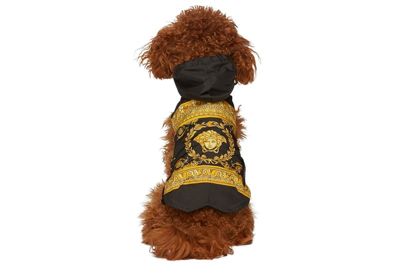 SSENSE 攜手 Burberry、Heron Preston 和 Versace 等品牌打造寵物配件系列