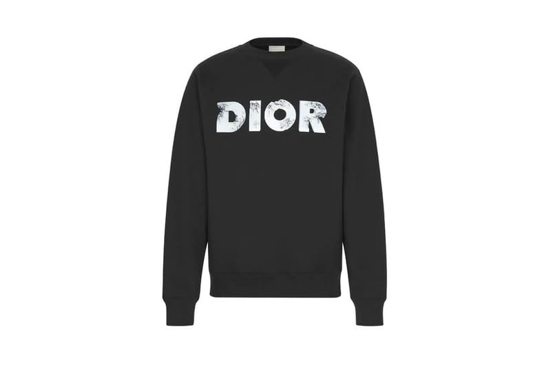 dior x daniel