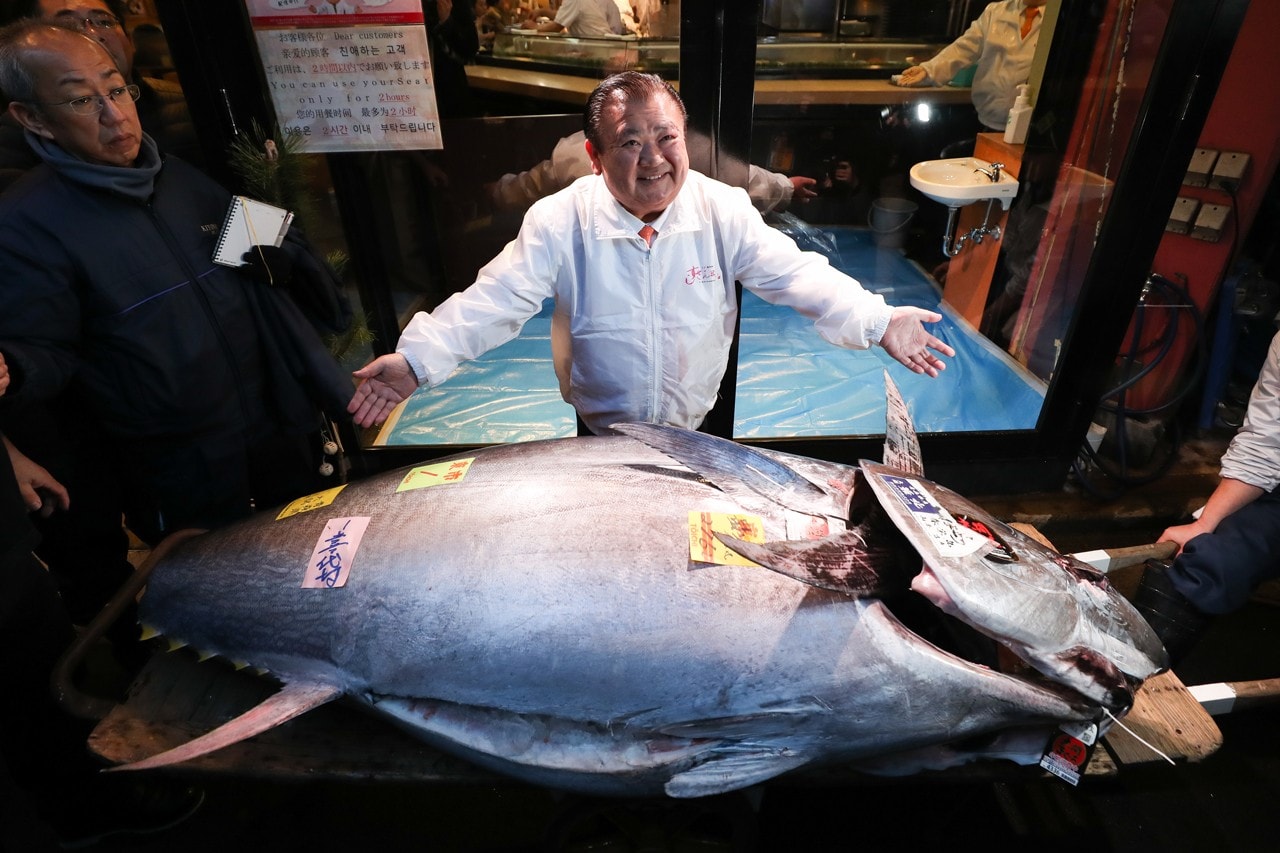 東京豐洲市場「日本一」藍鰭吞拿魚競投以歷來第二高價 175 萬美元成交