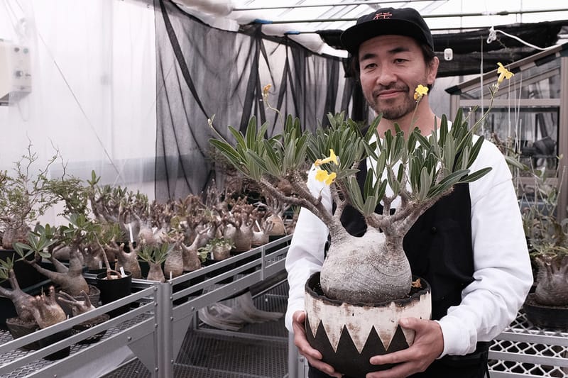 「The Anatomy of Exotic Plants」日本首部曲・HYPEBEAST 聯同 Plants of Gods 團隊走訪東洋塊根植物名所