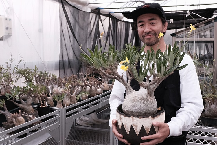 「The Anatomy of Exotic Plants」日本首部曲・HYPEBEAST 聯同 Plants of Gods 團隊走訪東洋塊根植物名所