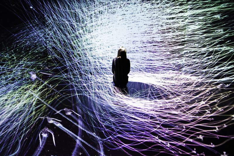 率先走進 teamLab 全新藝展《FUTURE WORLD: Where Art Meets Science》