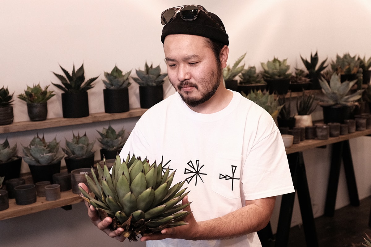 HYPEBEAST 聯同 Plants of Gods 團隊走訪東洋塊根植物名所