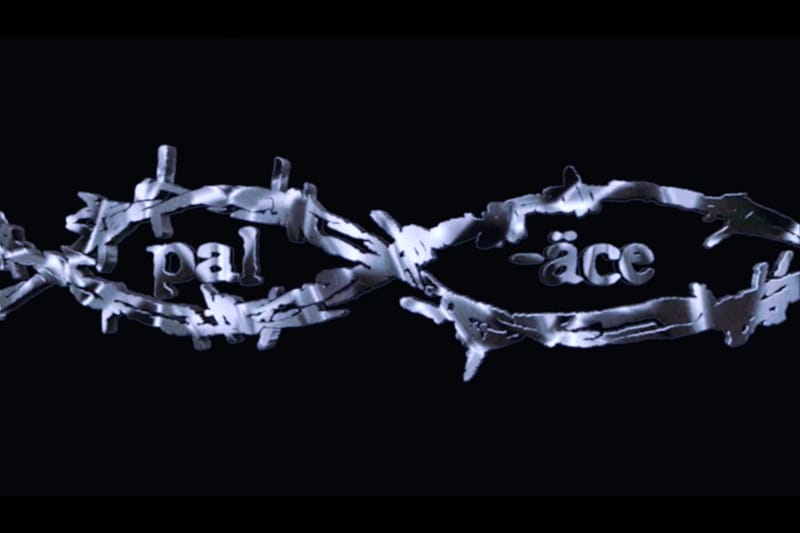 龐克復甦 - Palace Skateboards x Anarchic Adjustment 全新聯乘系列發佈