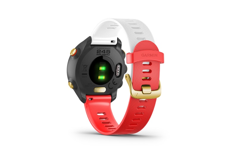 專屬富士山錶面－GARMIN 推出全新日本版 Forerunner 245 Music 錶款