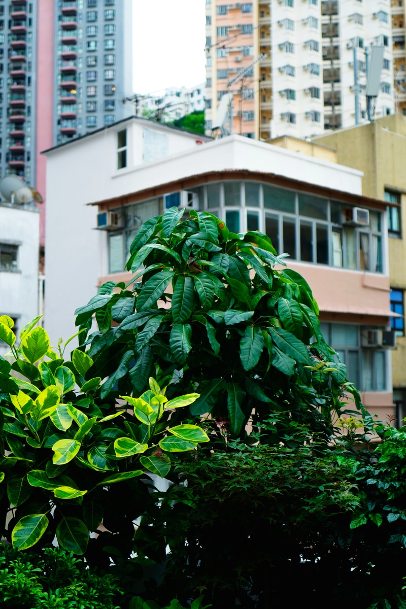 HYPEBEAST 走進全新文藝空間 THE SHOPHOUSE