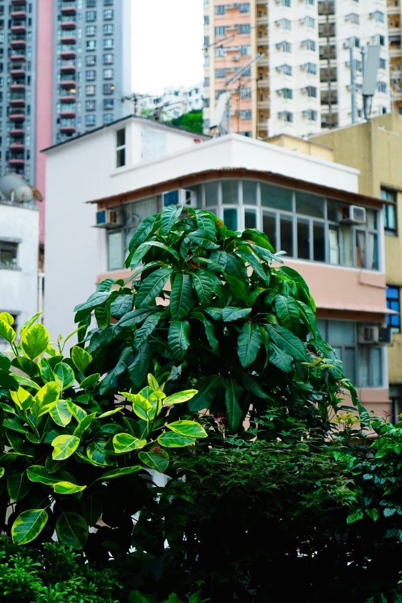 HYPEBEAST 走進全新文藝空間 THE SHOPHOUSE