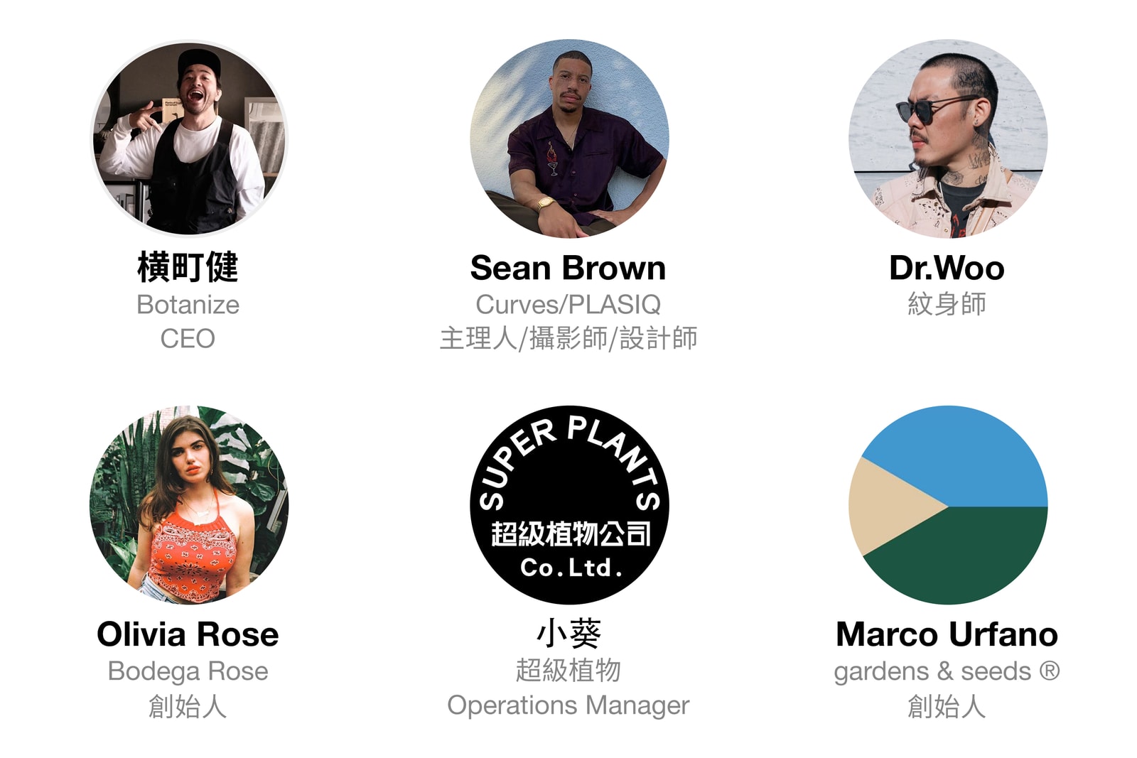 從塊根、竹芋到龜背竹,潮流人士與植物專家的居家植物推薦及養護指南