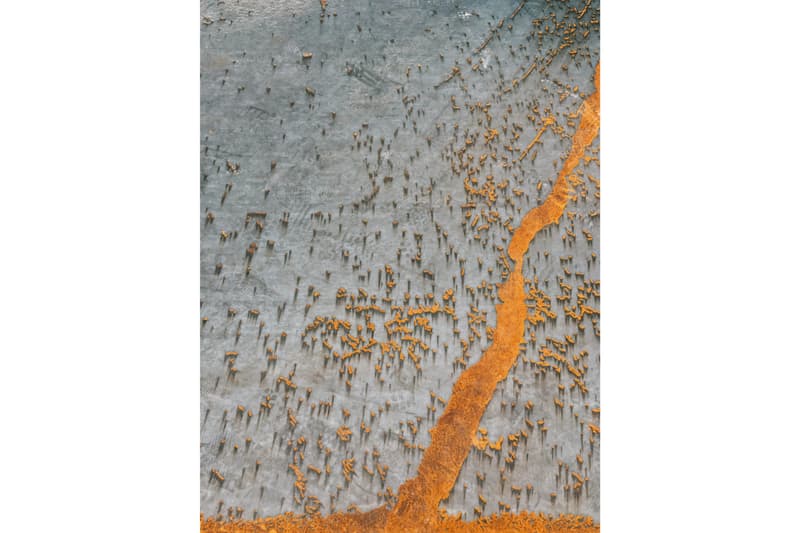 2020 iPhone 全球攝影大賽 IPPAWARDS 獲獎作品公佈