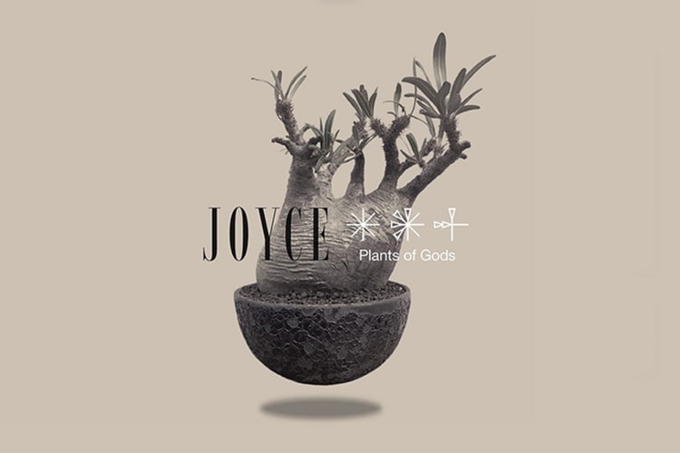 時尚名所 JOYCE x Plants of Gods 舉辦期間限定展覽