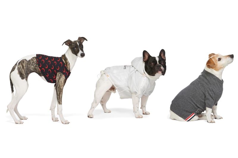 本日嚴選 SSENSE 8 件狗隻飾物入手推介