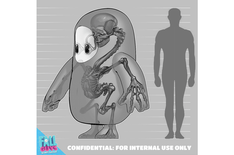 可愛幻滅－《Fall Guys 糖豆人：終極淘汰賽》官方分享「糖豆人」骨骼透視圖