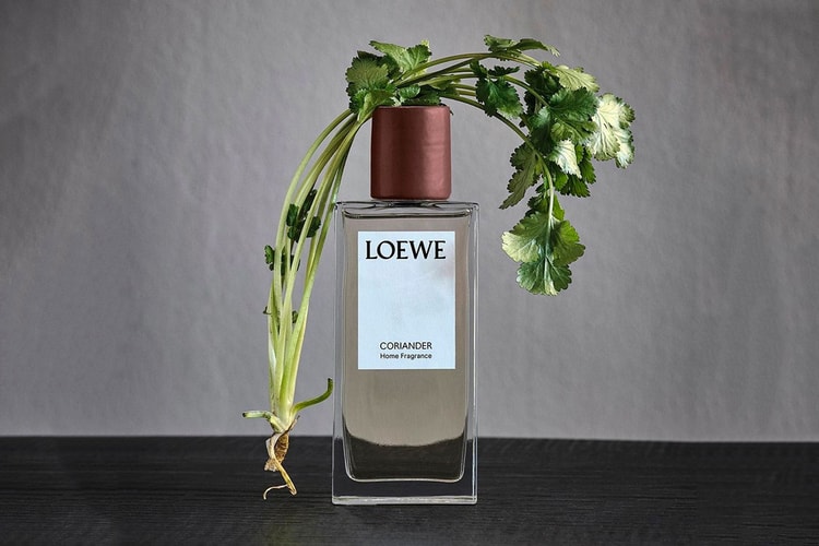 LOEWE 家居香氛系列推出全新「香菜」味調