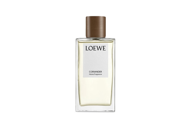 LOEWE 家居香氛系列推出全新「香菜」味調