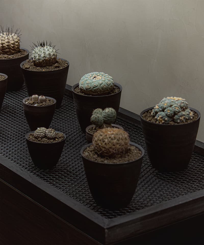 台灣新興植物單位 0343 CONSERVATORY 開幕情報正式公開