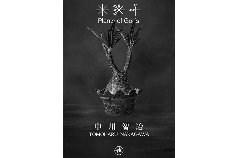 432HZ 攜手 Plants of Gods 舉辦期間限定店