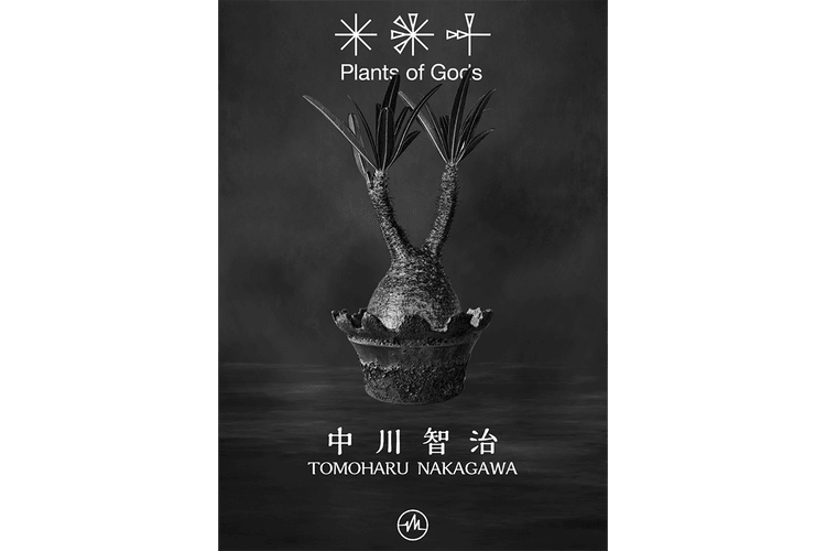 432HZ 攜手 Plants of Gods 舉辦期間限定店