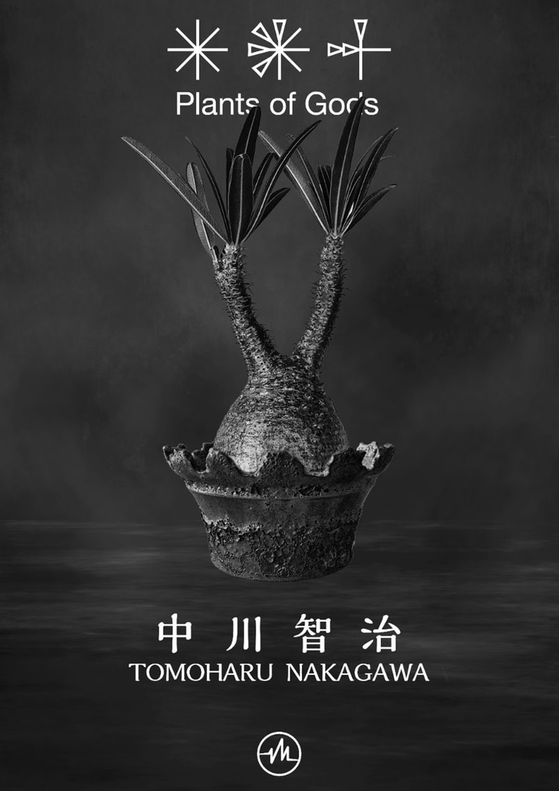 432HZ 攜手 Plants of Gods 舉辦期間限定店