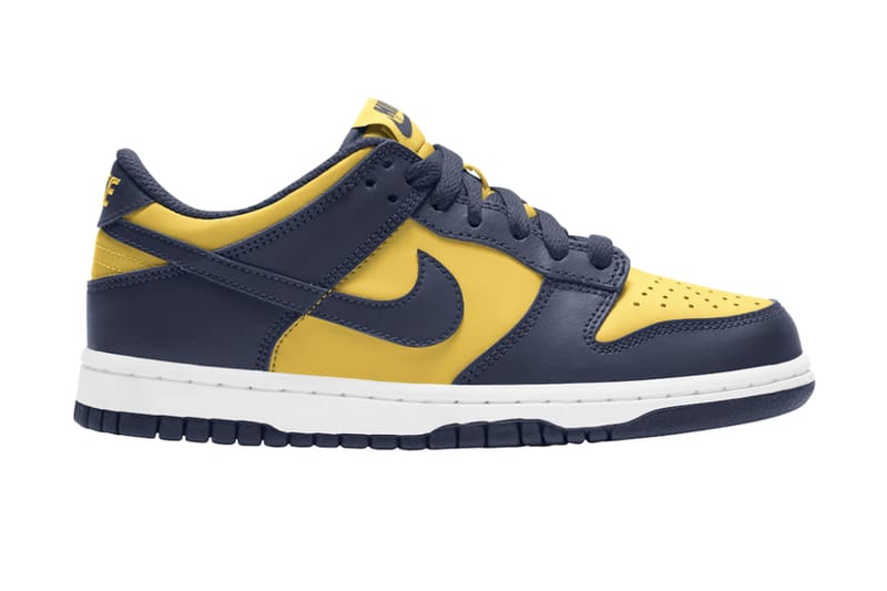 michigan dunk nike