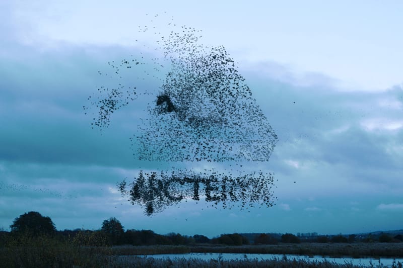 Palace Skateboards x Arc’teryx 全新聯乘系列正式發佈